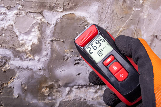 Best Fast Mold Removal  in Double Springs, AL