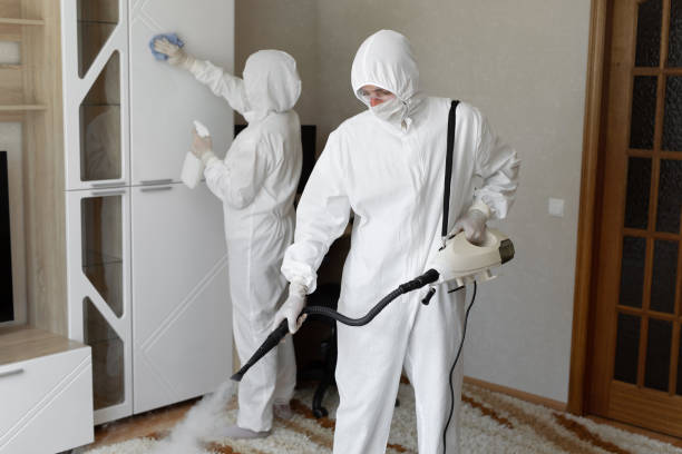 Best Residential Mold Removal  in Double Springs, AL