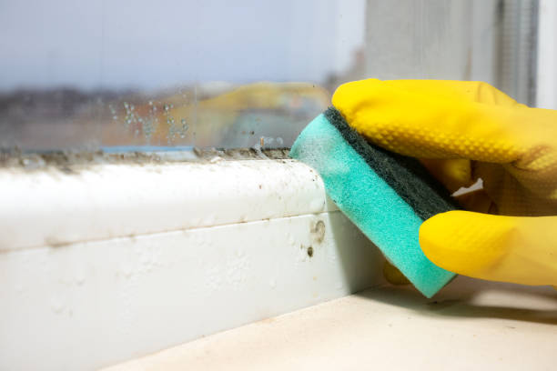 Best Mold Testing  in Double Springs, AL